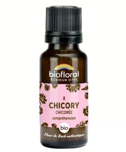 Chicorée - Chicory (n°8), granules sans alcool